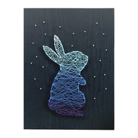 DIY String Art Kit for Kids and Adults, Nordic Style Starry Sky Animal Pattern Nail Winding Craft Set
