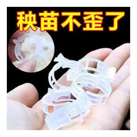 Plant Vine Clips for Climbing Plants, Fruit Trees, and Vegetables - Support and Training Clips