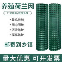 Galvanized PVC Coated Welded Wire Mesh Fence for Road and Rail Isolation, Farm Enclosures