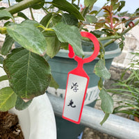Garden Plant Tags, Thickened UV-Resistant Plastic Hanging Labels for Succulents & Fruit Trees