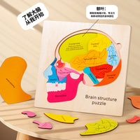 Kids' Wooden Multi-Layer Human Body & Growth Puzzle Educational Toy