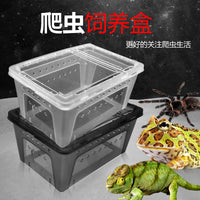 Reptile Terrarium with Basking Platform for Turtles, Spiders, Crabs, Frogs, Geckos, and Insects