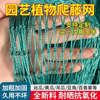 Plant Trellis Netting for Climbing Vines, Fruits, and Flowers - Garden Support Net