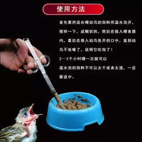 Bird Feeder Syringe for Young Birds, Mynah, Thrush, and Pigeon