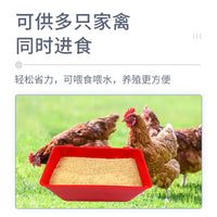 Hanging Poultry Feeder and Waterer Trough for Chickens, Ducks, Geese, and Pigeons