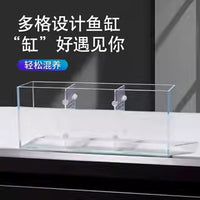 Multi-Compartment Ultra-White Glass Betta Fish Tank for Desktop or Balcony