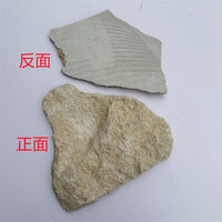 Natural Irregular Stone Veneer for Walls and Patios