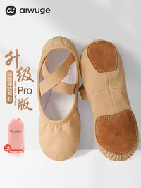 Aiwuge Elastic Ballet Dance Shoes for Women and Girls, Soft Sole, Professional Practice Shoes