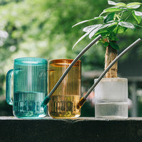 Stainless Steel Long Spout Watering Can for Indoor Outdoor Plants