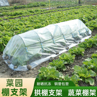 Greenhouse Hoop Support Arches for Vegetable Garden Winter Insulation Kit - Arched Rods for Garden Beds