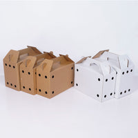 Pet Carrier Box for Small Animals, Live Transport Cage, Five-Layer Extra Hard Corrugated Cardboard for Rabbits and Pigeons