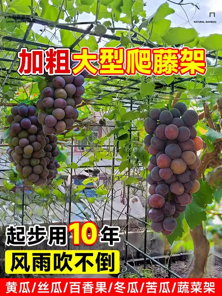 Heavy-Duty Coated Steel Garden Arch Trellis for Climbing Plants, Grapes, and Passion Fruit