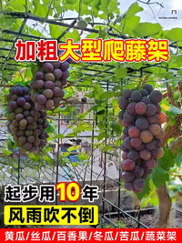 Heavy-Duty Coated Steel Garden Arch Trellis for Climbing Plants, Grapes, and Passion Fruit