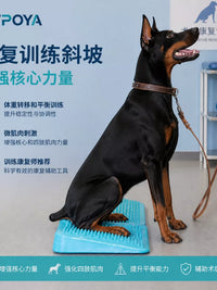 Inflatable Pet Rehabilitation Ramp for Muscle Training and Weight Transfer
