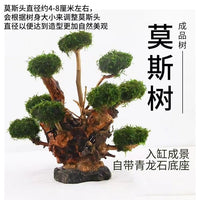 Aquarium Moss Tree Driftwood Decoration for Fish Tank Landscaping