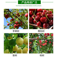M-Type Fruit Tree Branch Spreader for Shaping and Fixing Branches