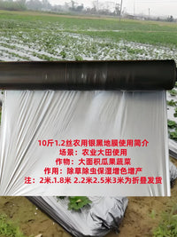 Black and Silver Agricultural Mulch Film for Weed Control, Insulation, and Moisture Retention