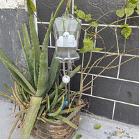 Automatic Plant Watering Drip Irrigation System for Potted Plants, Self-Watering Device