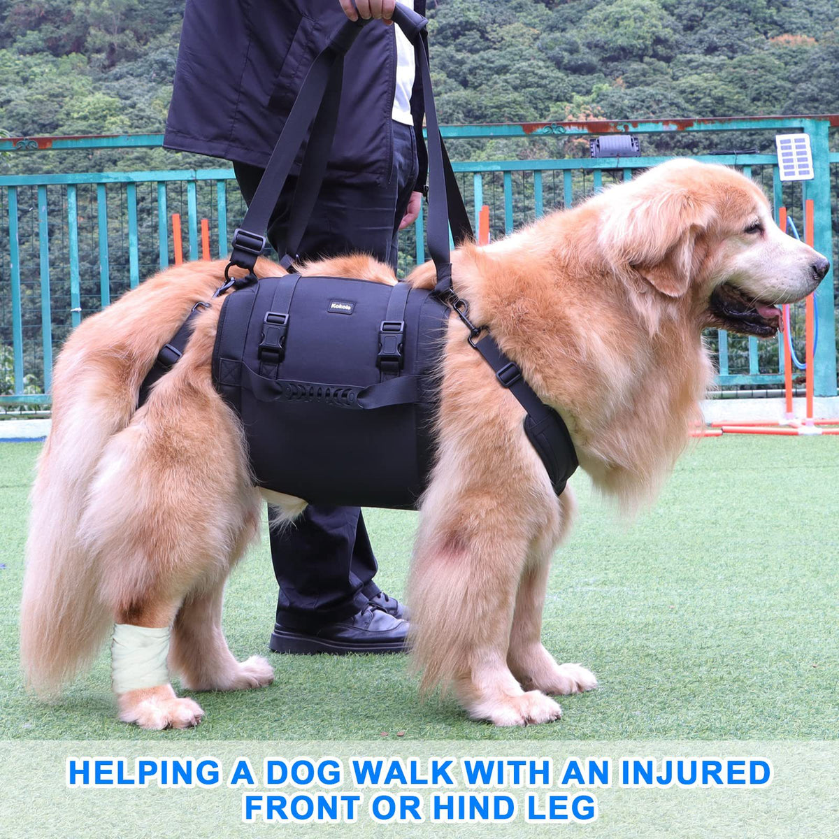 Pet Dog Support Harness for Injured or Elderly Dogs - Mobility Aid for Back Legs