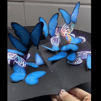 DIY 3D Butterfly Pop-Up Book Kit for Gifting