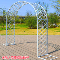 Outdoor Metal Garden Arch for Climbing Plants, Roses, and Vines
