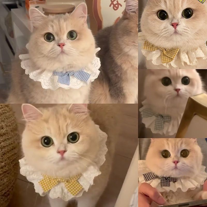 Pet Cat Dog Cotton Lace Bow Scarf Collar Bib for Small Pets