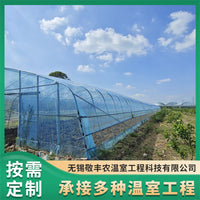 Single-Span Greenhouse for Spring/Autumn Melon & Fruit Cultivation, Stable Support, Direct from Manufacturer
