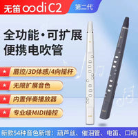 Oodi C2 Digital Wind Instrument for Beginners, Electronic Saxophone Flute for All Ages