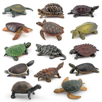 Realistic Amphibious Reptile Turtle Model Figurines for Decoration and Play