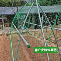 Garden Trellis Netting for Climbing Plants, Fruits, and Vegetables