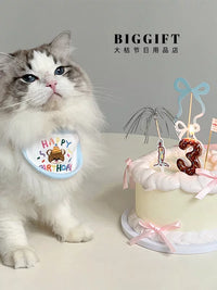 Pet Birthday Party Decoration Set with Felt Hat, Bib, and Cake Topper