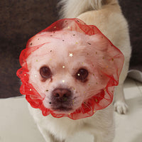 Breathable Mesh Dog Muzzle for Small to Medium Dogs, Anti-Biting, Anti-Licking, Star Pattern