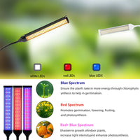 Full Spectrum LED Grow Light with Clip for Indoor Plants, Seedlings, and Succulents