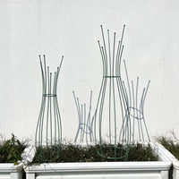 Garden Metal Plant Climbing Trellis for Clematis Roses and Vines