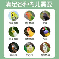 No-Mess Automatic Bird Feeder with Husk Separation for Parrots and Small Birds