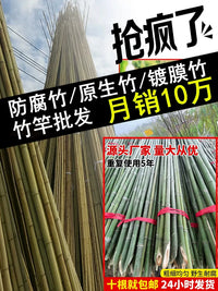 Bamboo Garden Stakes for Climbing Plants, Vegetables, and Fences