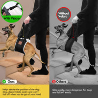 Dog Rear Leg Support Harness for Rehabilitation and Mobility Assistance
