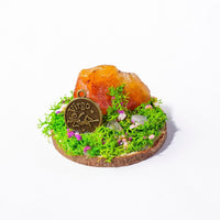 Natural Crystal Raw Stone Twelve Constellations Log Ornament for Desktop Micro Landscape Moss Decor