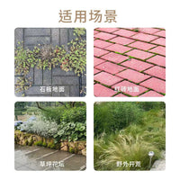 Garden Steel Wire Weed Brush with Long Handle for Pavement and Crevice Cleaning