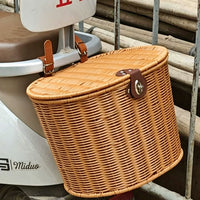 Electric Bicycle Rear Basket with Lid and Straps - Storage for Helmets and Groceries