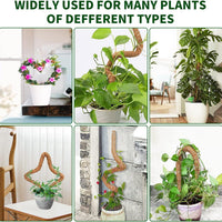 Bendable Coir Moss Pole for Climbing Plants - DIY Customizable Plant Support for Potted Plants