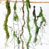 Artificial Mossy Vine Branches for Indoor Decoration and Creative Landscaping