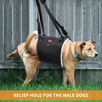 Dog Lift Harness for Rehabilitation and Walking Assistance
