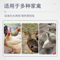 Hanging Poultry Feeder and Waterer Trough for Chickens, Ducks, Geese, and Pigeons