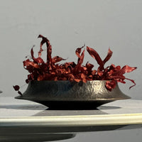 Hand-Hammered Pure Copper Moss Bonsai Basin for Green Plants and Landscape Decor