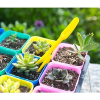 Seedling Starter Trays with Multiple Cells for Germination and Plant Propagation