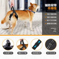 Dog Rear Leg Support Harness for Injured, Disabled, or Elderly Dogs