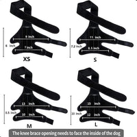 Pet Dog Leg Brace for Injury Recovery and Support