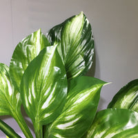 Artificial Hosta Leaf Green Wall Decor for Balcony & Indoor Vertical Gardens