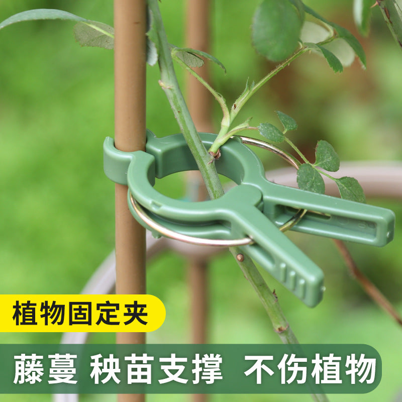 Garden Plant Support Clips for Vines, Tomatoes, and Cucumbers - Balcony Climbing Trellis Clips
